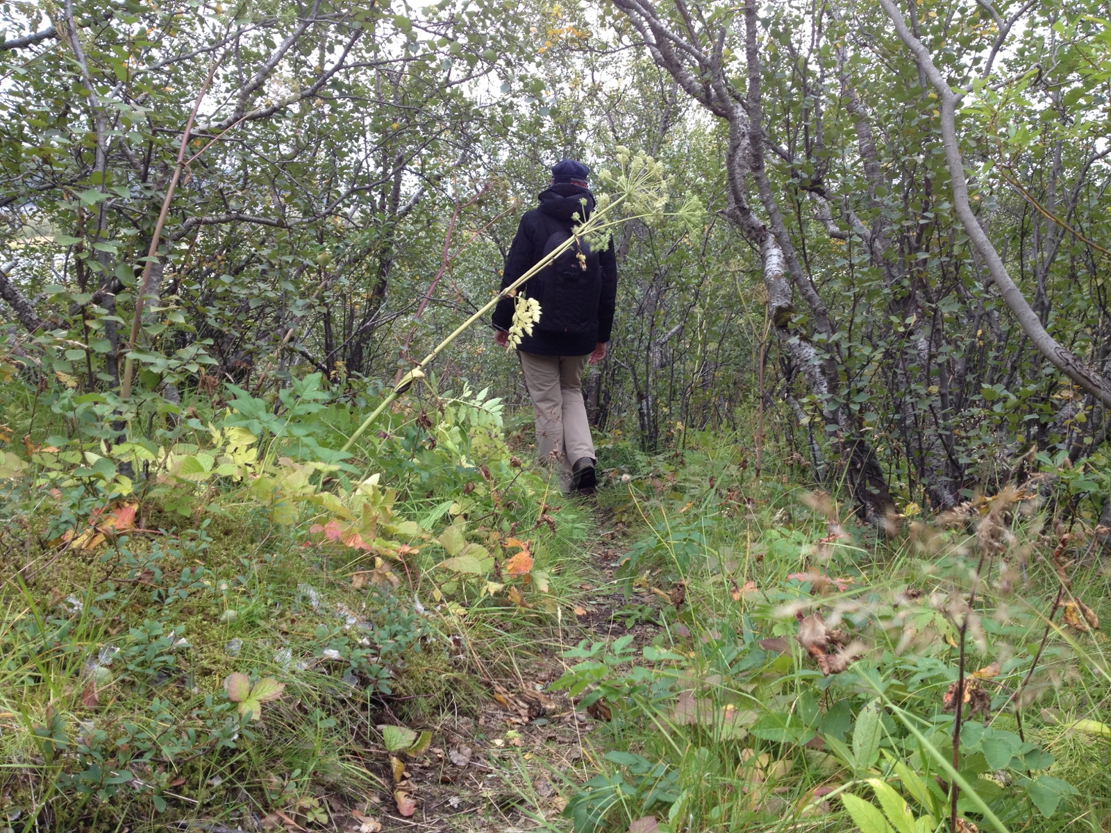 332 DSC08069c IMG 2455